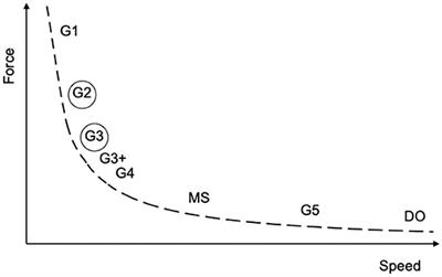 Ski Skating Race Technique—Effect of Long Distance Cross-Country Ski Racing on Choice of Skating Technique in Moderate Uphill Terrain